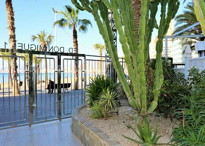 Apartment Don Miguel 1 18-a Levante